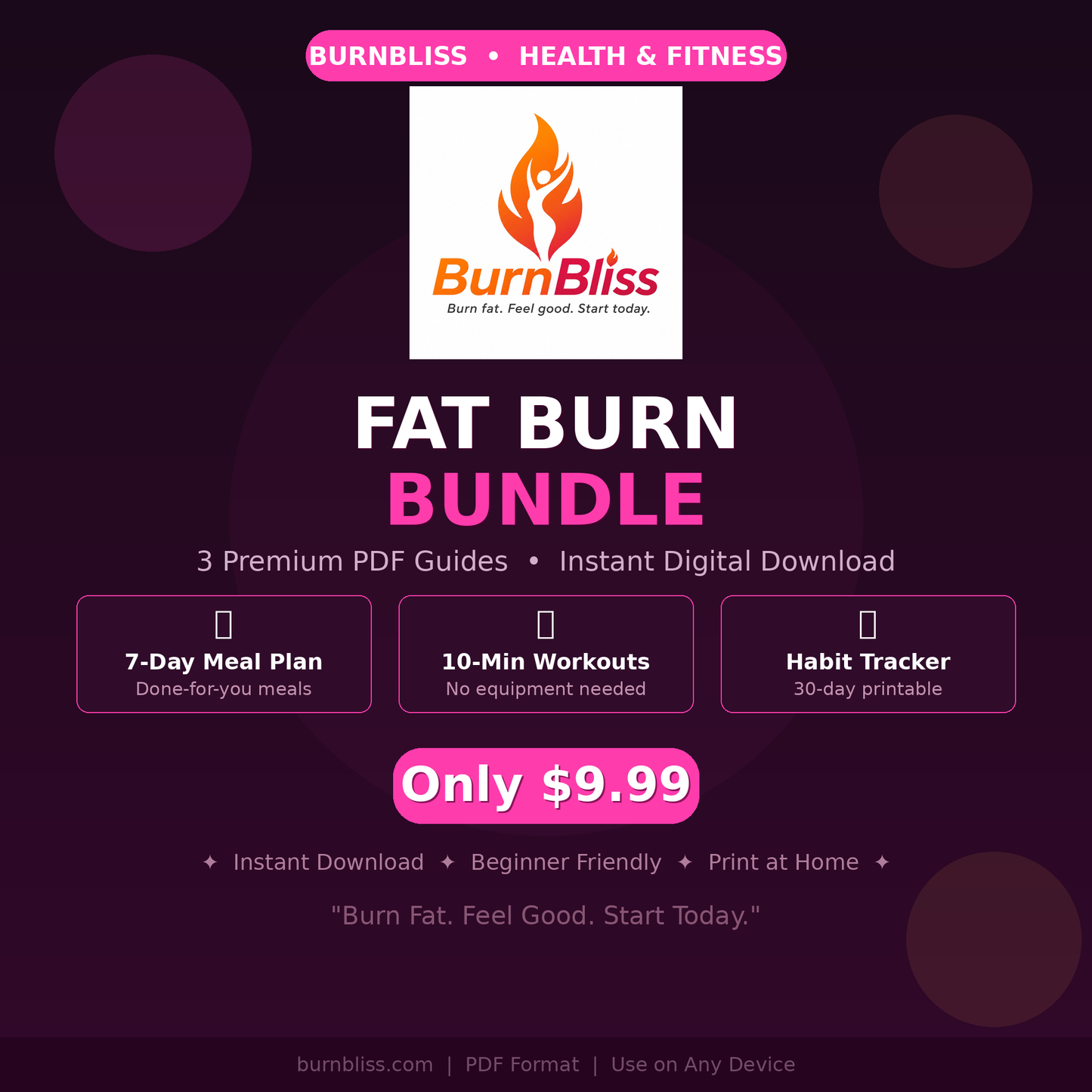BurnBliss Fat Burn Bundle | 3 PDF Guides | Instant Download