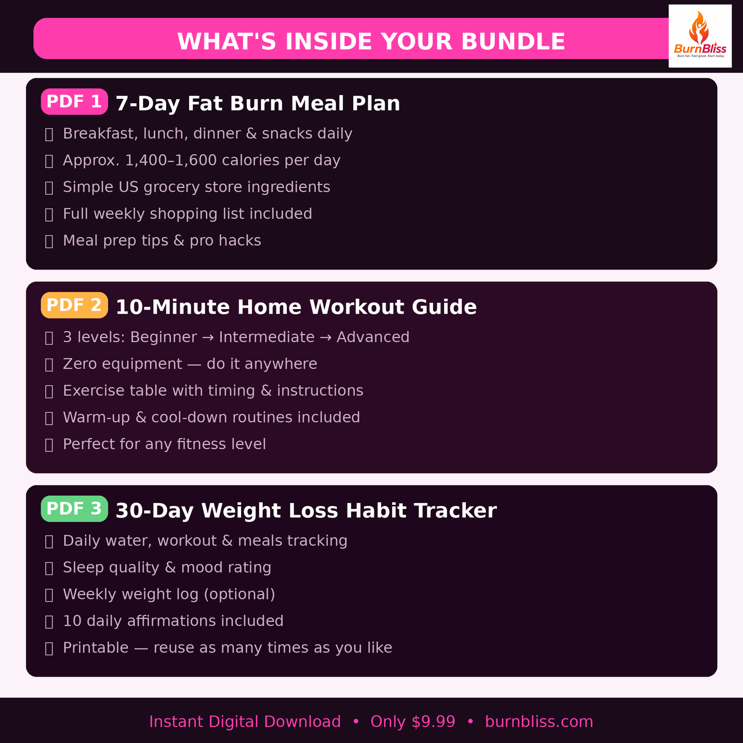 BurnBliss Fat Burn Bundle | 3 PDF Guides | Instant Download